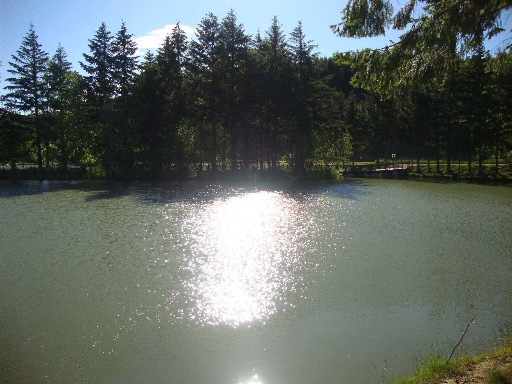 Hotel Miramonti Bagno di Romagna Esterno foto